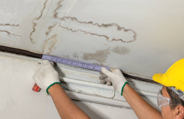Reliable Mold Remediation contractor in Wheeling, WV by Water Damage Irwin